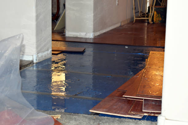 Professional Flood Cleanup technician working in Sequim, WA